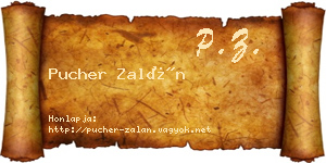 Pucher Zalán névjegykártya